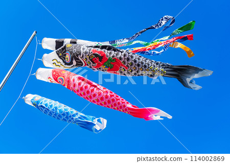 Koinobori/五月圖片 Koinobori/五月圖片 114002869
