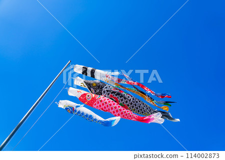 Koinobori/五月圖片 114002873