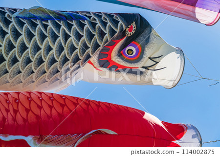 Koinobori/五月圖片 114002875