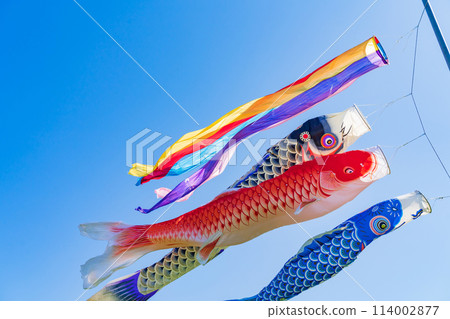 Koinobori/May image 114002877