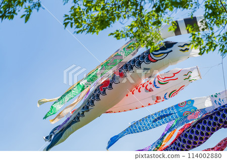 Koinobori/May image 114002880