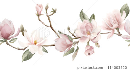Light pink magnolia flowers, buds, sprigs and leaves. Seamless border of spring blossom. Floral watercolor illustration hand painted isolated on white background for print, label, cosmetic packaging. Light pink magnolia flowers, buds, sprigs and leaves. Seamless border of spring blossom. Floral watercolor illustration hand painted isolated on white background for print, label, cosmetic packaging. 114003320