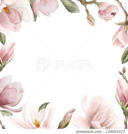 Light pink magnolia flowers, buds, sprigs and leaves. Frame of spring blossom. Floral watercolor illustration hand painted isolated on white background for print, label, cosmetic packaging. 114003327