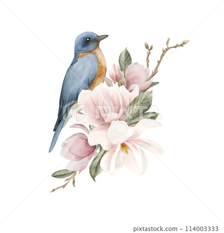 Blue bird on a branch with light pink magnolia flowers. Watercolor illustration hand painted isolated on white background. Spring blossom composition for print, label, logo or cosmetic packaging. 114003333