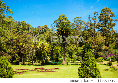 Victoria Park in Nuwara Eliya Victoria Park in Nuwara Eliya 114004749