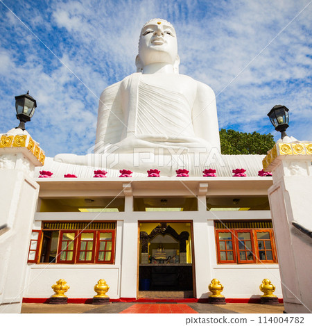 Bahirawakanda Vihara Buddha Statue Bahirawakanda Vihara Buddha Statue 114004782