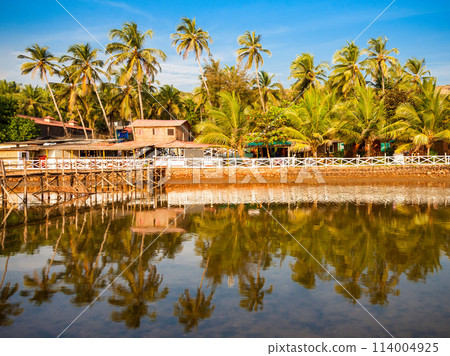 Mandrem beach Goa India Mandrem beach Goa India 114004925