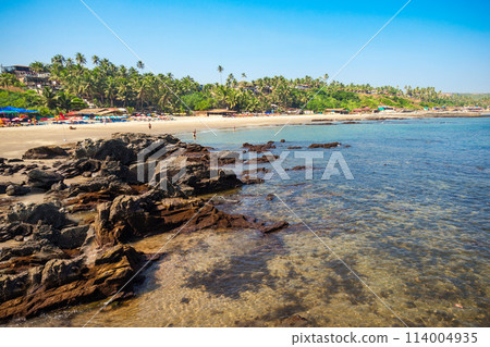Beach in Goa, India Beach in Goa, India 114004935