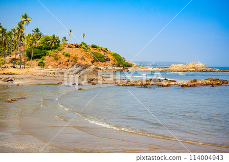 Beach in Goa, India 114004943