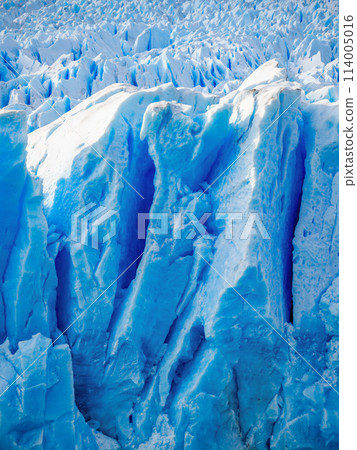 The Perito Moreno Glacier 114005016