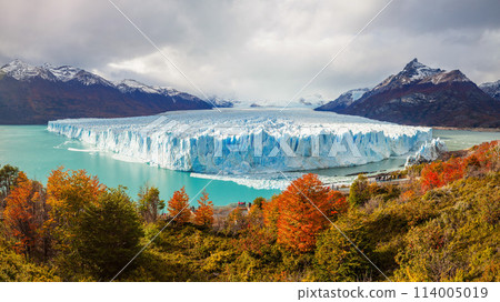 The Perito Moreno Glacier 114005019
