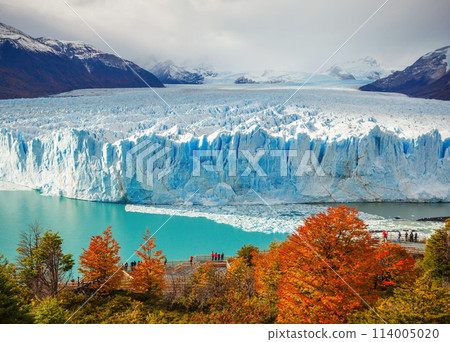The Perito Moreno Glacier 114005020