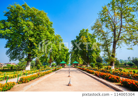 Garden in Srinagar city, India 114005304