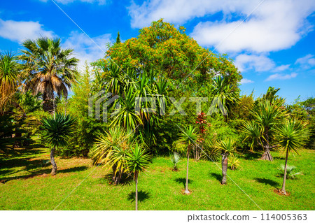 Madeira Botanical Garden in Funchal, Portugal 114005363
