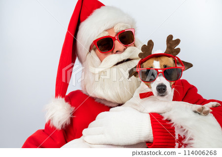 Portrait of santa claus in sunglasses and dog jack russell terrier in rudolf reindeer ears on a white background.  114006268