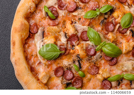 Delicious pizza with sausage, cheese, tomatoes, salt, spices and herbs Delicious pizza with sausage, cheese, tomatoes, salt, spices and herbs 114006659