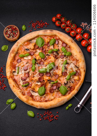 Delicious pizza with sausage, cheese, tomatoes, salt, spices and herbs 114006666