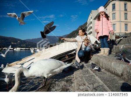Young mother and her little daughter feeding swans at the Como lake, sitting against small boats over mountains background 114007545