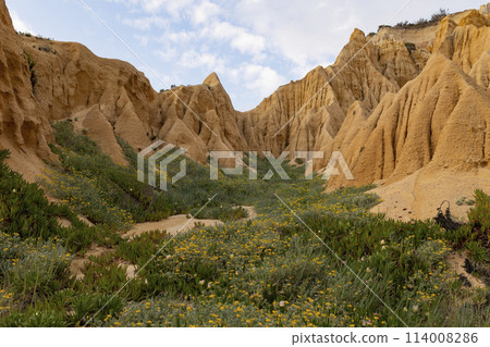 A rocky, barren landscape with a few patches of green grass and yellow flowers A rocky, barren landscape with a few patches of green grass and yellow flowers 114008286