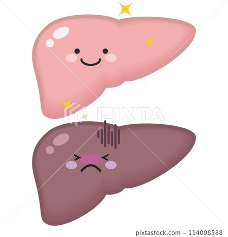 健康的肝臟和虛弱的肝臟 健康的肝臟和虛弱的肝臟 114008588
