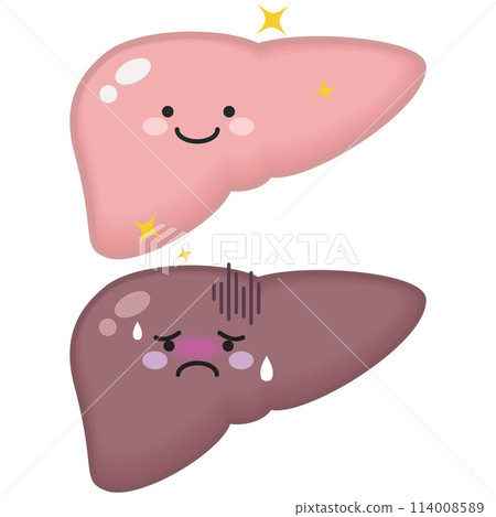 Healthy and weakened liver Healthy and weakened liver 114008589