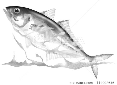 活潑的魚竹莢魚在水面跳躍的插圖 114008636