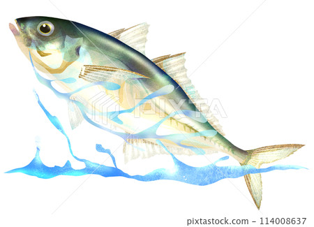 夏季堤岸釣魚經典竹莢魚插畫 114008637