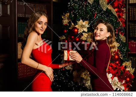 Lesbian couple together indoors cheerfully communicate, preparing for celebration of Christmas. Lesbian couple together indoors cheerfully communicate, preparing for celebration of Christmas. 114008662