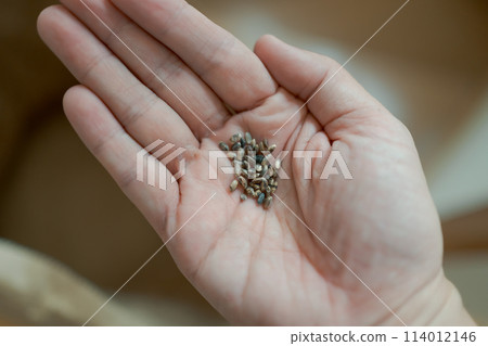 black rice grains black rice grains 114012146
