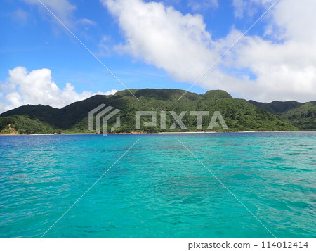 Oku Iriomote Oku Iriomote 114012414