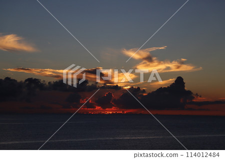 叢林中的薩加里巴納 114012484