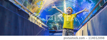 aquarium and boy, visit in oceanarium, underwater tunnel and kid, wildlife underwater indoor, nature aquatic, fish, tortoise BANNER, LONG FORMAT aquarium and boy, visit in oceanarium, underwater tunnel and kid, wildlife underwater indoor, nature aquatic, fish, tortoise BANNER, LONG FORMAT 114012898