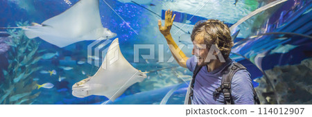 curious tourist watching with interest on shark in oceanarium tunnel BANNER, LONG FORMAT 114012907