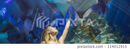 Young woman touches a stingray fish in an oceanarium tunnel BANNER, LONG FORMAT Young woman touches a stingray fish in an oceanarium tunnel BANNER, LONG FORMAT 114012915