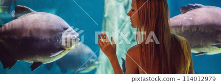 Young woman touches a stingray fish in an oceanarium tunnel BANNER, LONG FORMAT 114012979