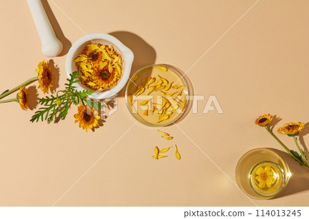 Beige background featured an erlenmeyer flask and a petri dish of yellow liquid. A mortar containing Calendula flowers arranged with a pestle. Blank space to show your organic cosmetic products Beige background featured an erlenmeyer flask and a petri dish of yellow liquid. A mortar containing Calendula flowers arranged with a pestle. Blank space to show your organic cosmetic products 114013245