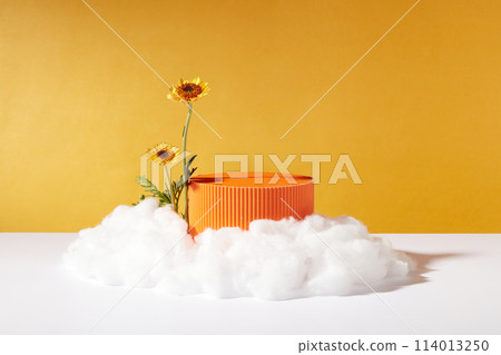 A podium in orange color with blank space displayed with two branches of Calendula flower and clouds. Mock-up for exhibitions or presentation of cosmetic products or packaging A podium in orange color with blank space displayed with two branches of Calendula flower and clouds. Mock-up for exhibitions or presentation of cosmetic products or packaging 114013250
