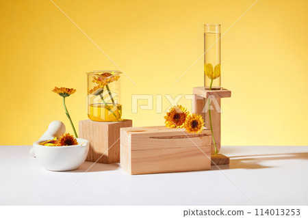 Geometric shaped wooden podiums arranged with a beaker and a test tube on rack containing oil extracted from Calendula flowers. Calendula extract is widely used in cosmetics Geometric shaped wooden podiums arranged with a beaker and a test tube on rack containing oil extracted from Calendula flowers. Calendula extract is widely used in cosmetics 114013253