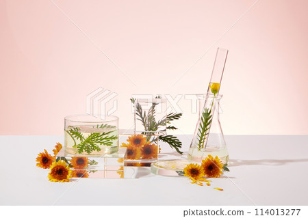 Collection of podiums in geometric shapes arranged with Calendula flowers and glassware. Pastel background. Calendula flowers might help with wound healing Collection of podiums in geometric shapes arranged with Calendula flowers and glassware. Pastel background. Calendula flowers might help with wound healing 114013277