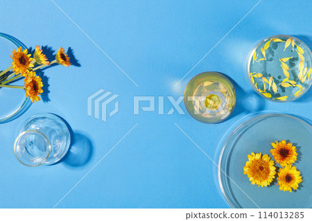 Two erlenmeyer flasks and few petri dishes arranged against blue background with liquid filled inside. Vacant space in the middle for organic product promotion 114013285