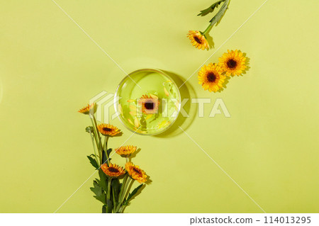 Flat lay of a glass bowl with fluid extracted from Calendula flowers filled inside. Pastel green background. Calendula promotes healing and prevents infection in wounds 114013295