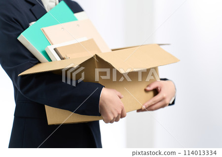 Business woman moving with luggage 114013334