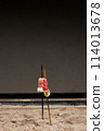 Meat skewers 114013678