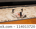 Charcoal fire in the hearth 114013720