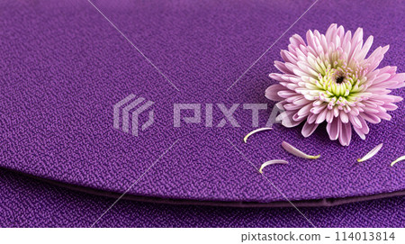 紫色背景上的菊花日式花卉背景素材 114013814