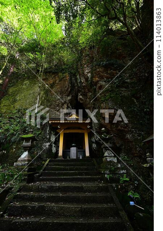 Fresh greenery at Iwatakiji Temple 114013863