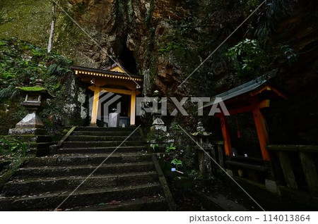 Fresh greenery at Iwatakiji Temple 114013864