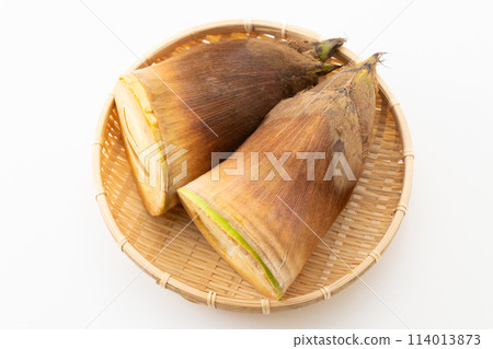 Bamboo shoots on a white background 114013873