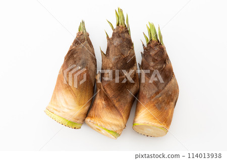 Bamboo shoots on a white background Bamboo shoots on a white background 114013938