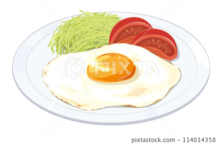 Illustration of fried egg 114014358